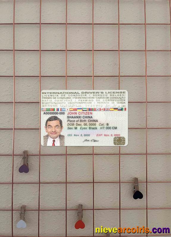 International driver's license photolook